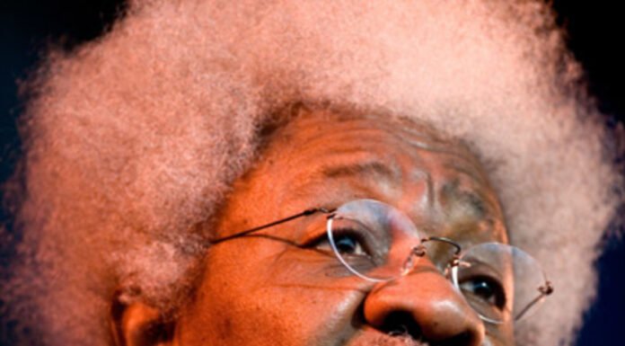 soyinka advise to Buhari about democracy